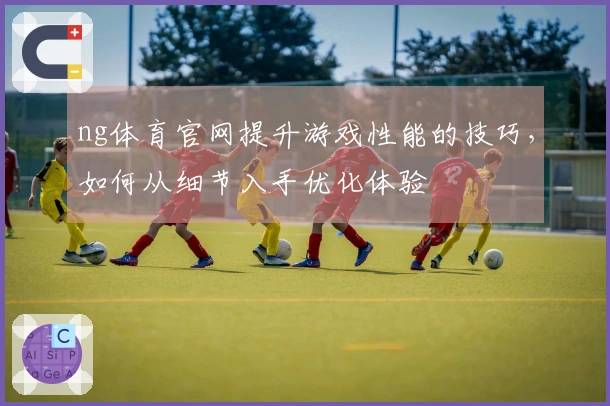 ng体育官网提升游戏性能的技巧，如何从细节入手优化体验