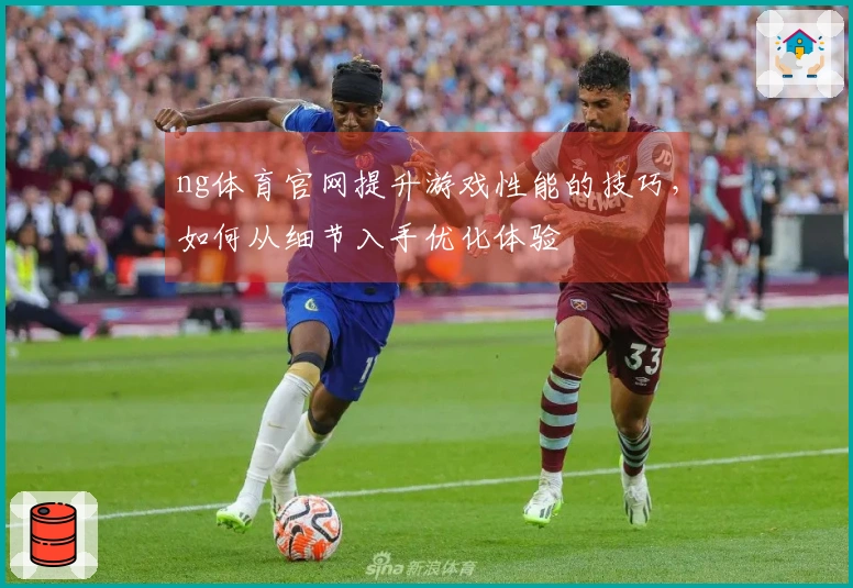 ng体育官网提升游戏性能的技巧，如何从细节入手优化体验