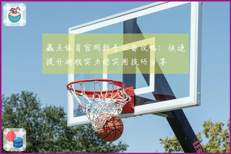 赢点体育官网新手必备攻略：快速提升游戏实力的实用技巧分享