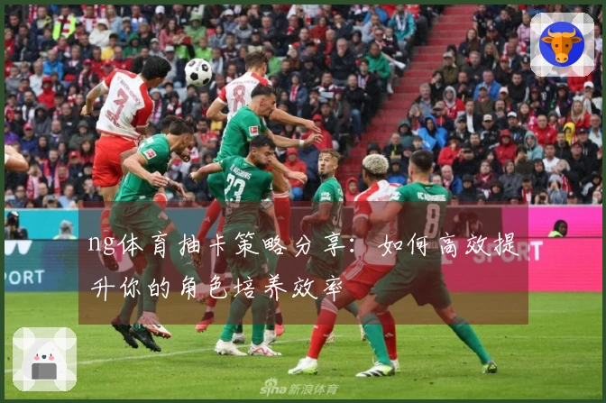 ng体育抽卡策略分享：如何高效提升你的角色培养效率